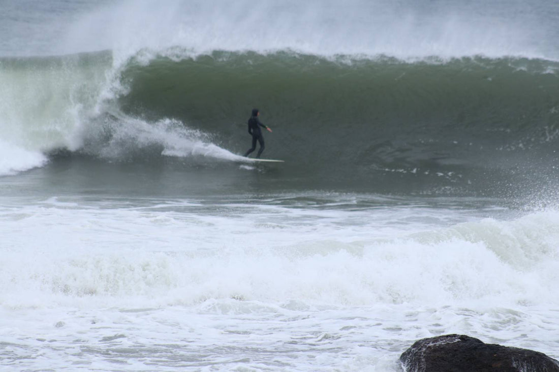 Searching for Gnarnia