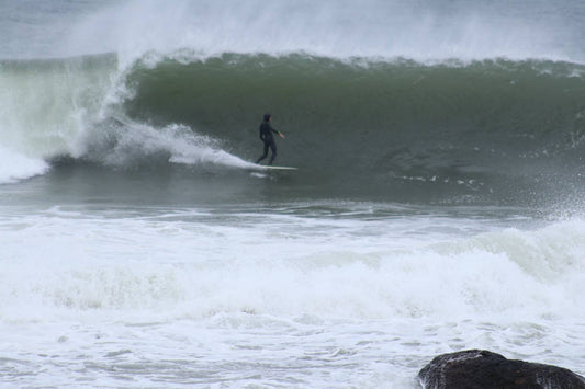 Searching for Gnarnia