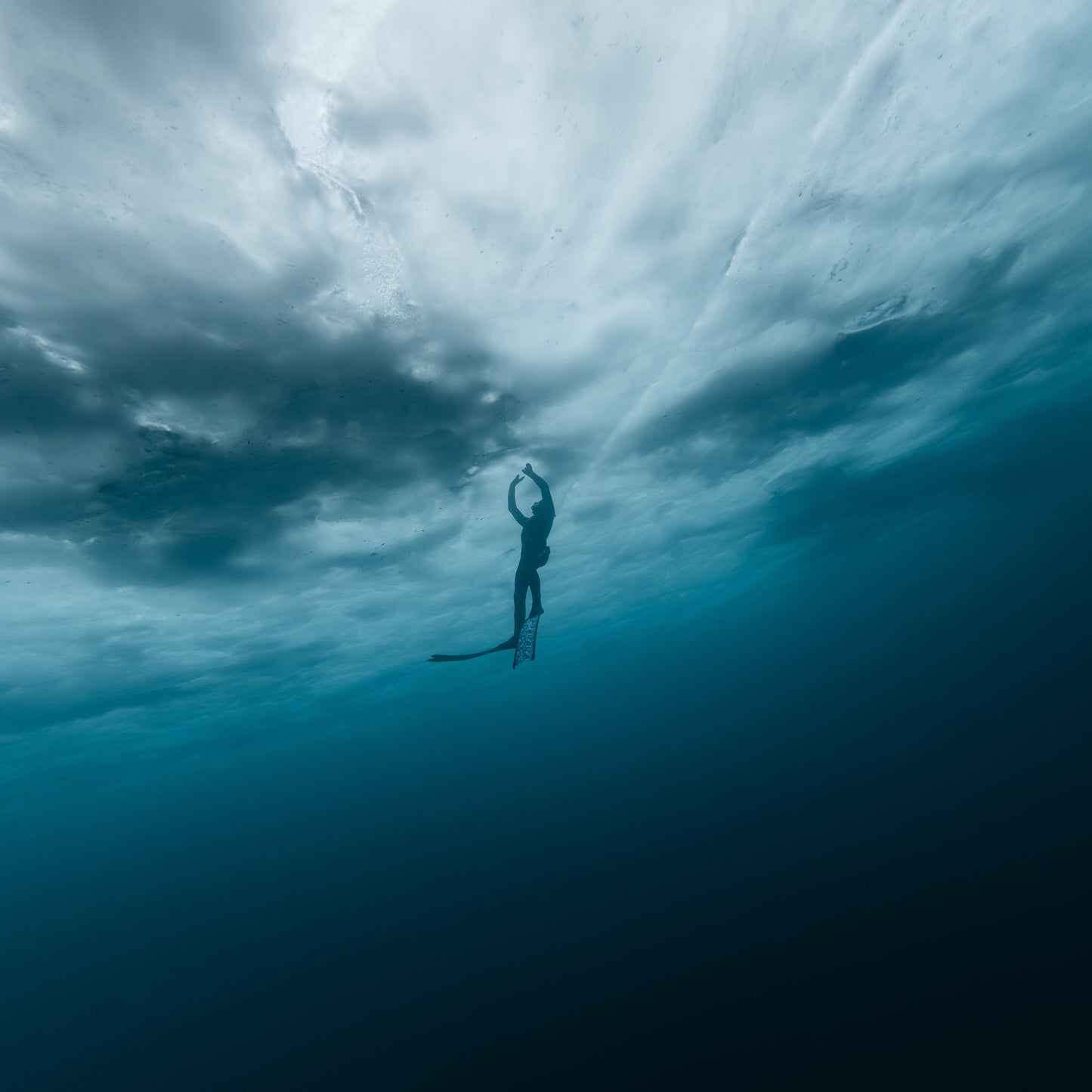 Freediving services